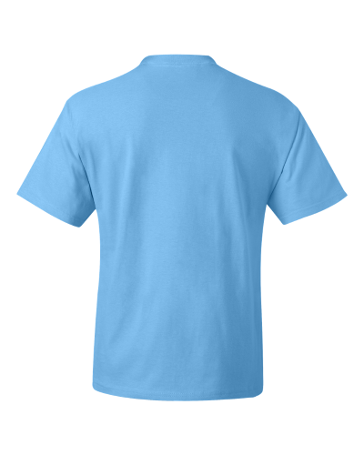 Hanes Beefy-T 5180
